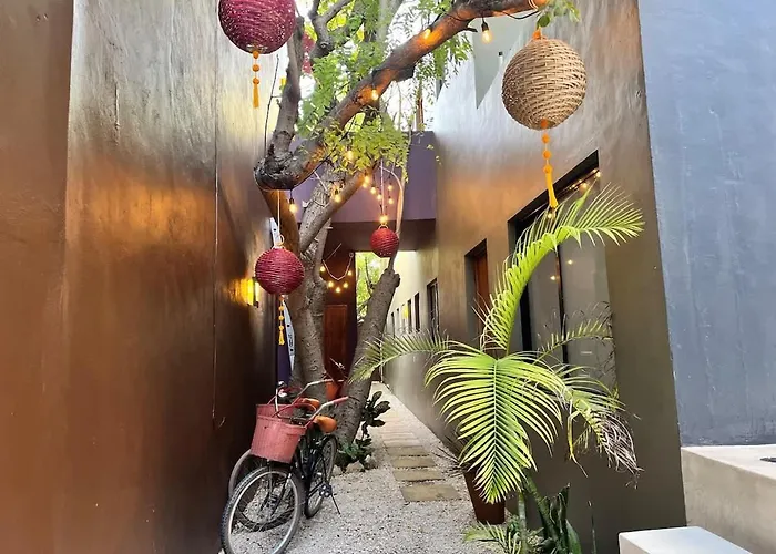 Downtown Cozy 1bd Holiday home