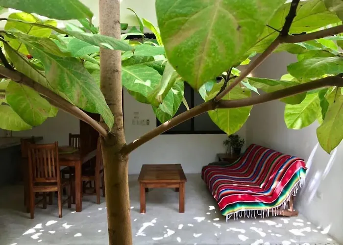 Downtown Cozy 1bd Holiday home *