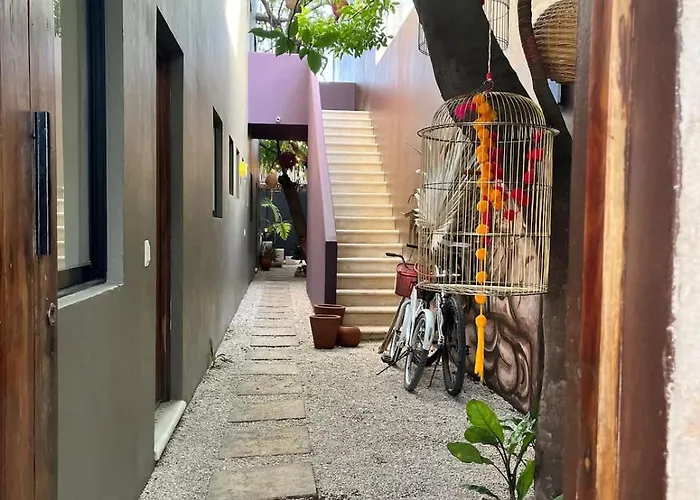 Downtown Cozy 1bd Holiday home *